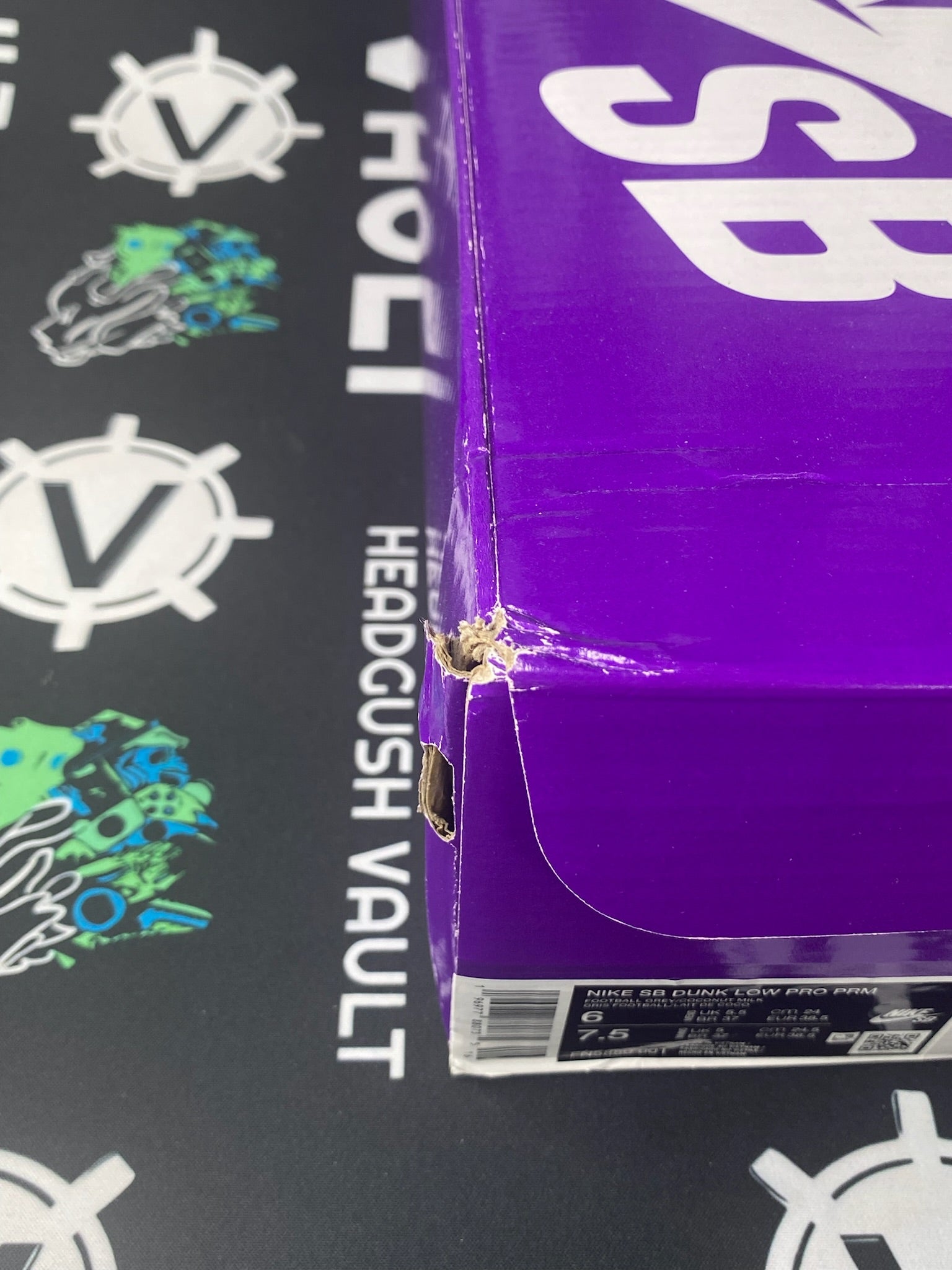 NIKE SB Dunk Low Premium City of Style Pastoral Print