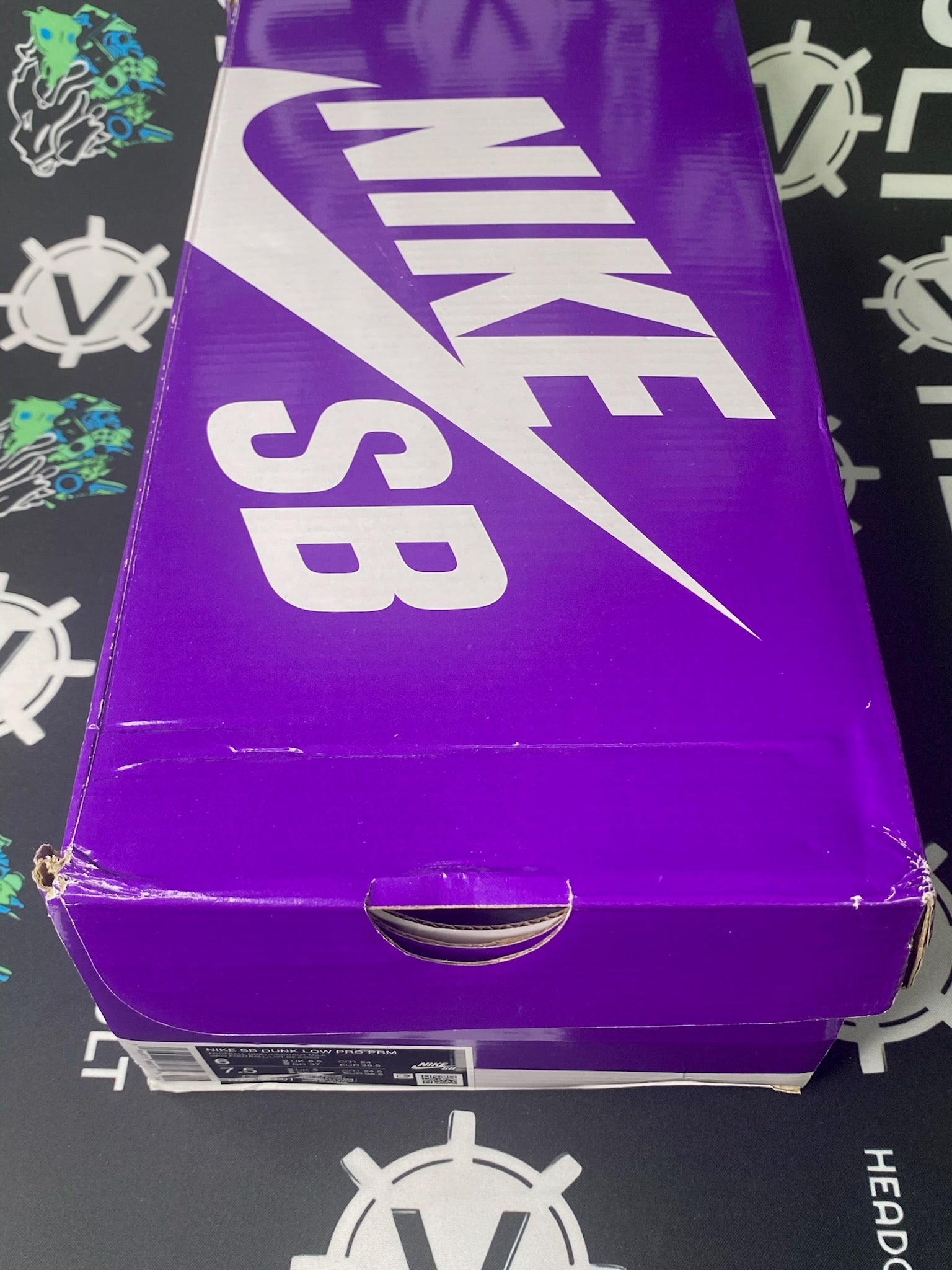 NIKE SB Dunk Low Premium City of Style Pastoral Print