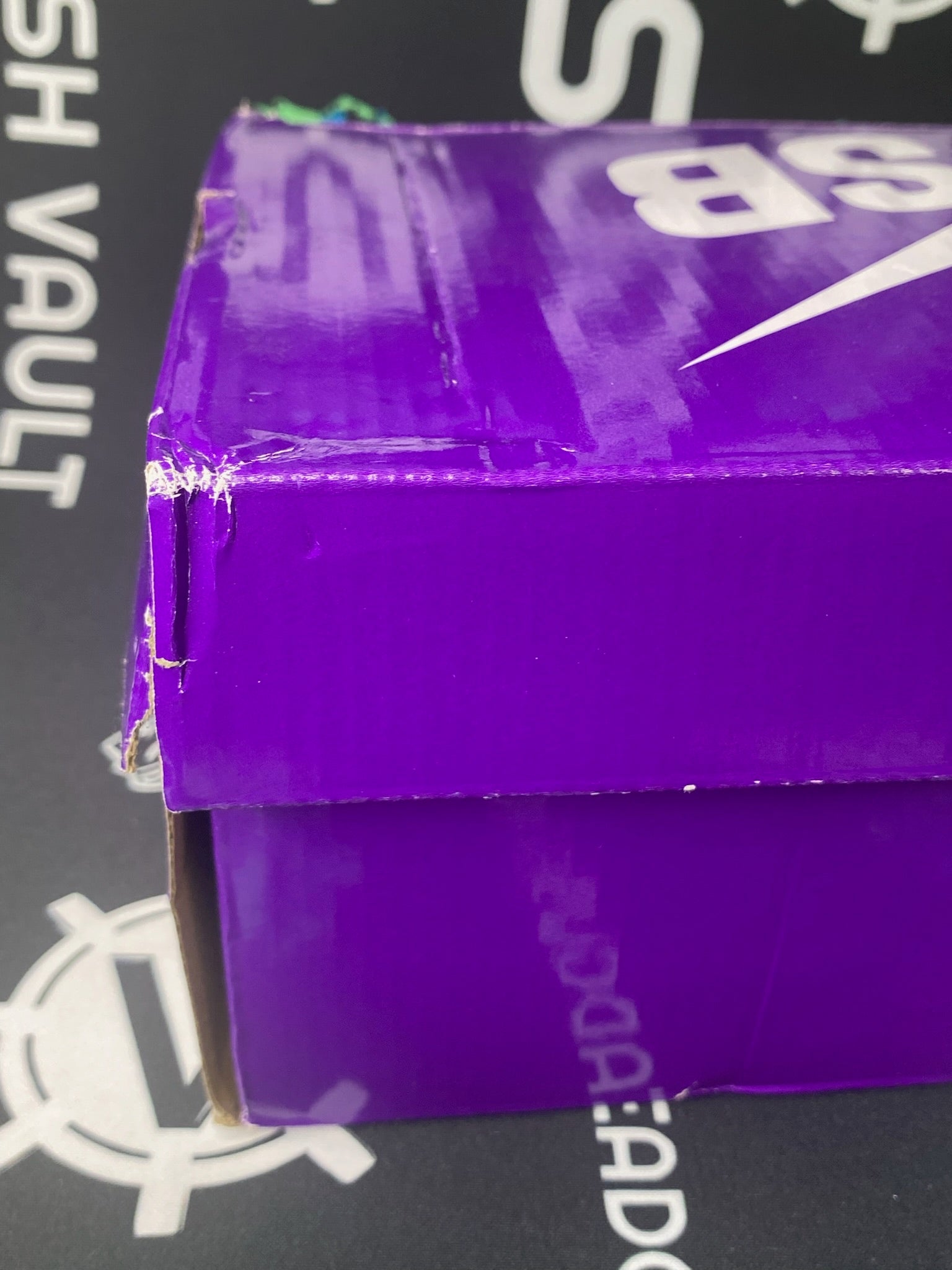 NIKE SB Dunk Low Premium City of Style Pastoral Print