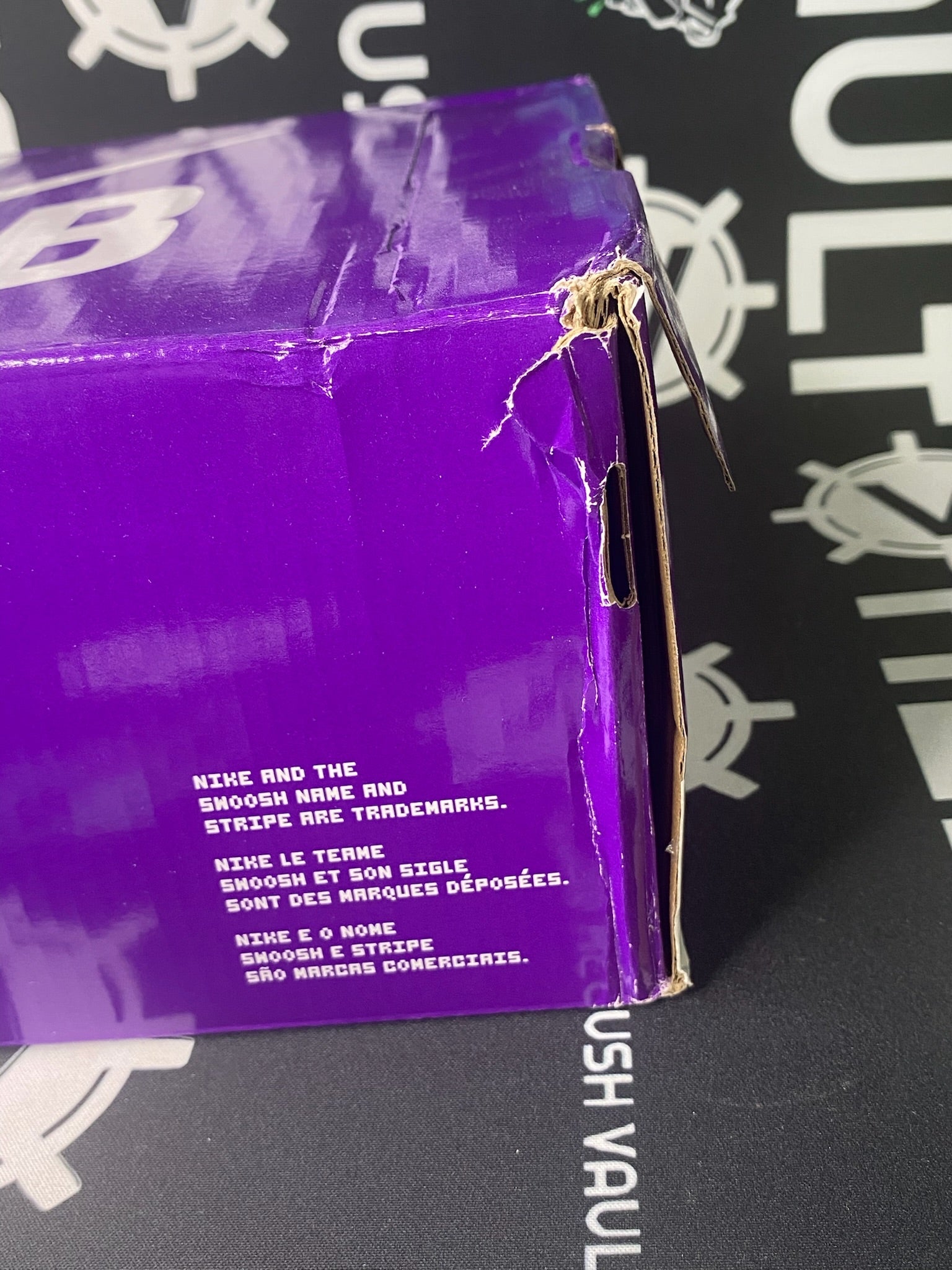 NIKE SB Dunk Low Premium City of Style Pastoral Print