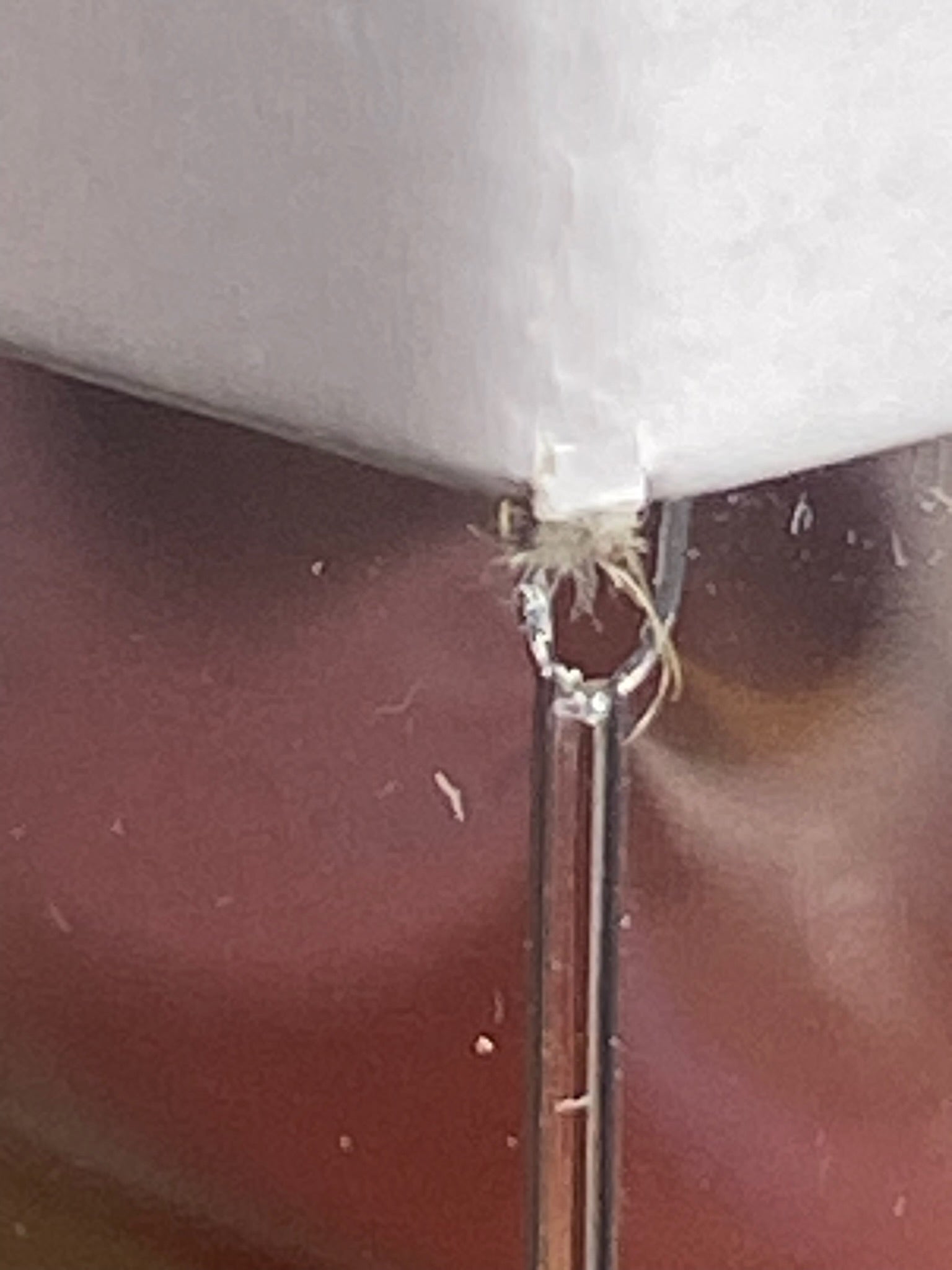 POP Baseball Freddy (Wondrous Convention)