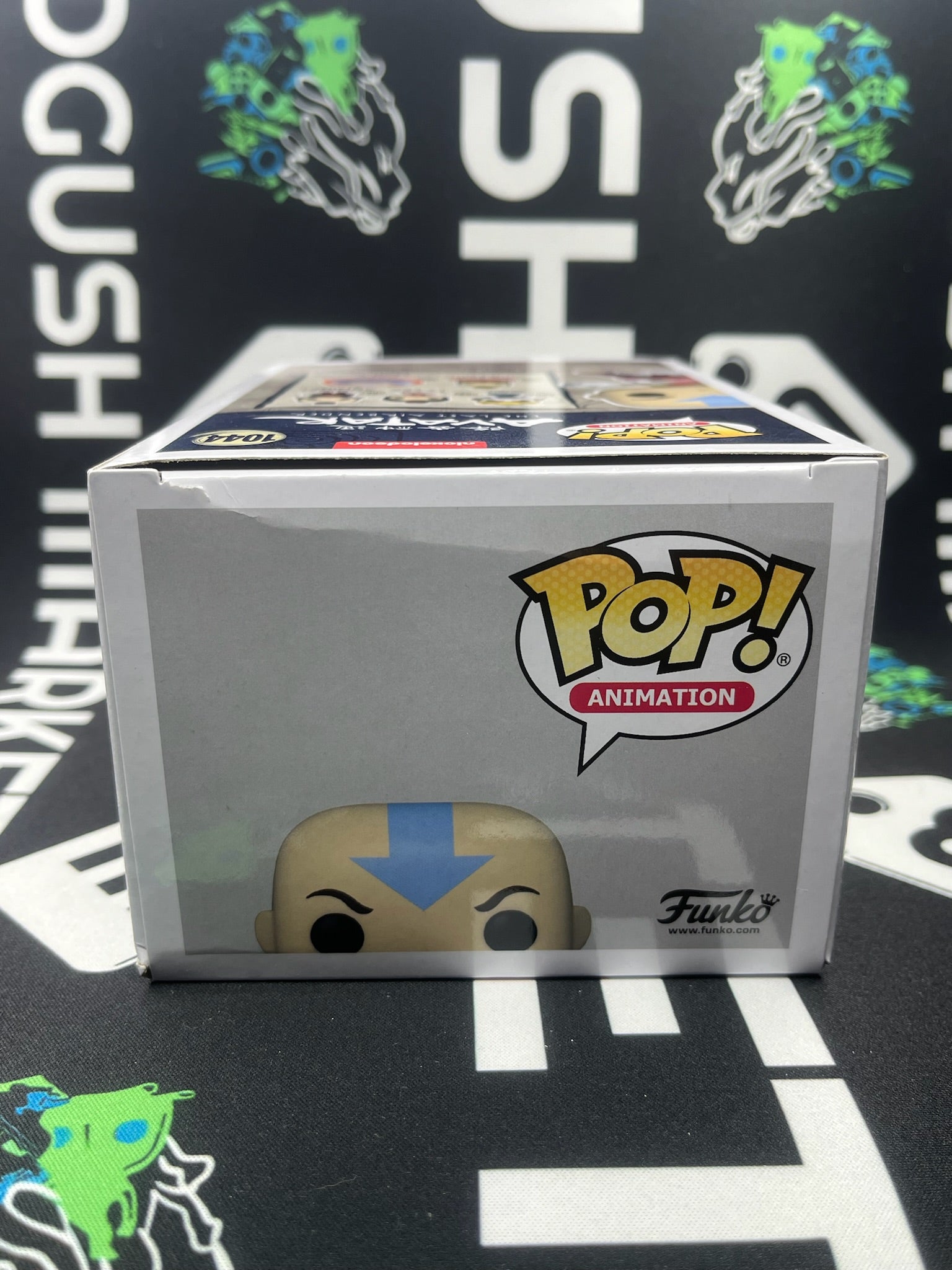 POP Aang (Fall Convention)
